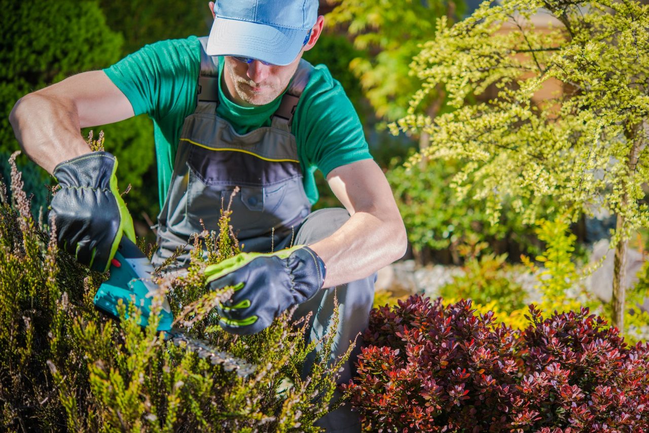 gardener-working-in-a-garden.jpg